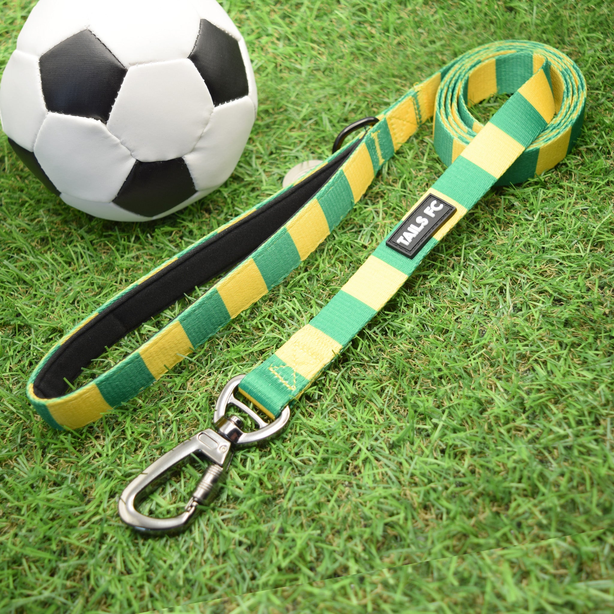 Brazil Pet Lead - Yellow & Green Stripe Football Pet Lead