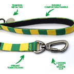Brazil Dog Set - Yellow & Green Stripe Football Dog Collar and Leash Set