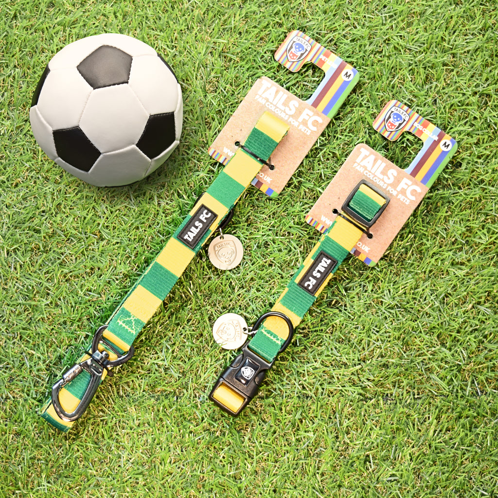Brazil Dog Set - Yellow & Green Stripe Football Dog Collar and Leash Set
