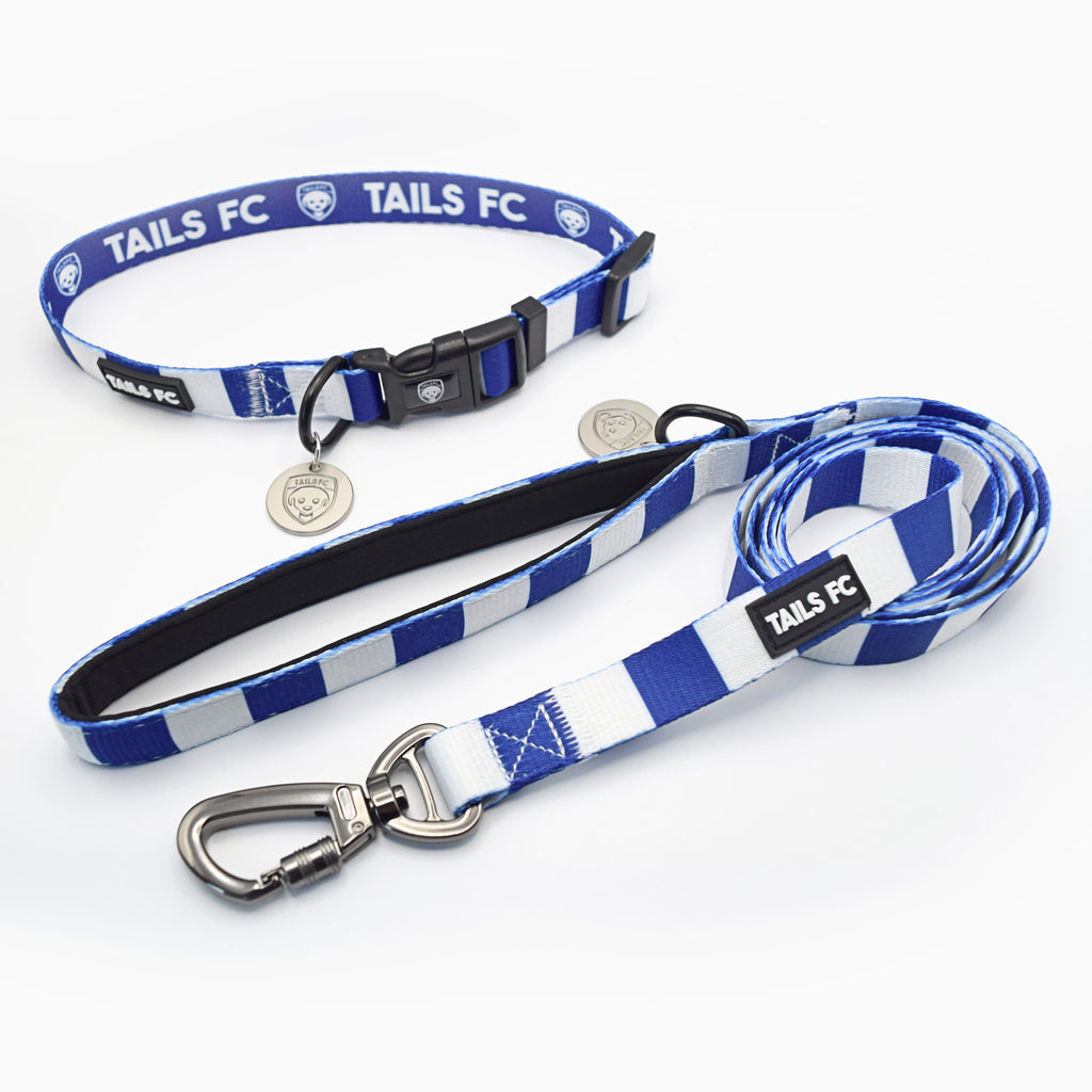Brighton Pet Lead - blue & white Stripe Football Pet Lead