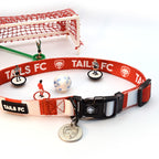 Bristol City Dog Collar - Red & White Stripe Football Pet Collar