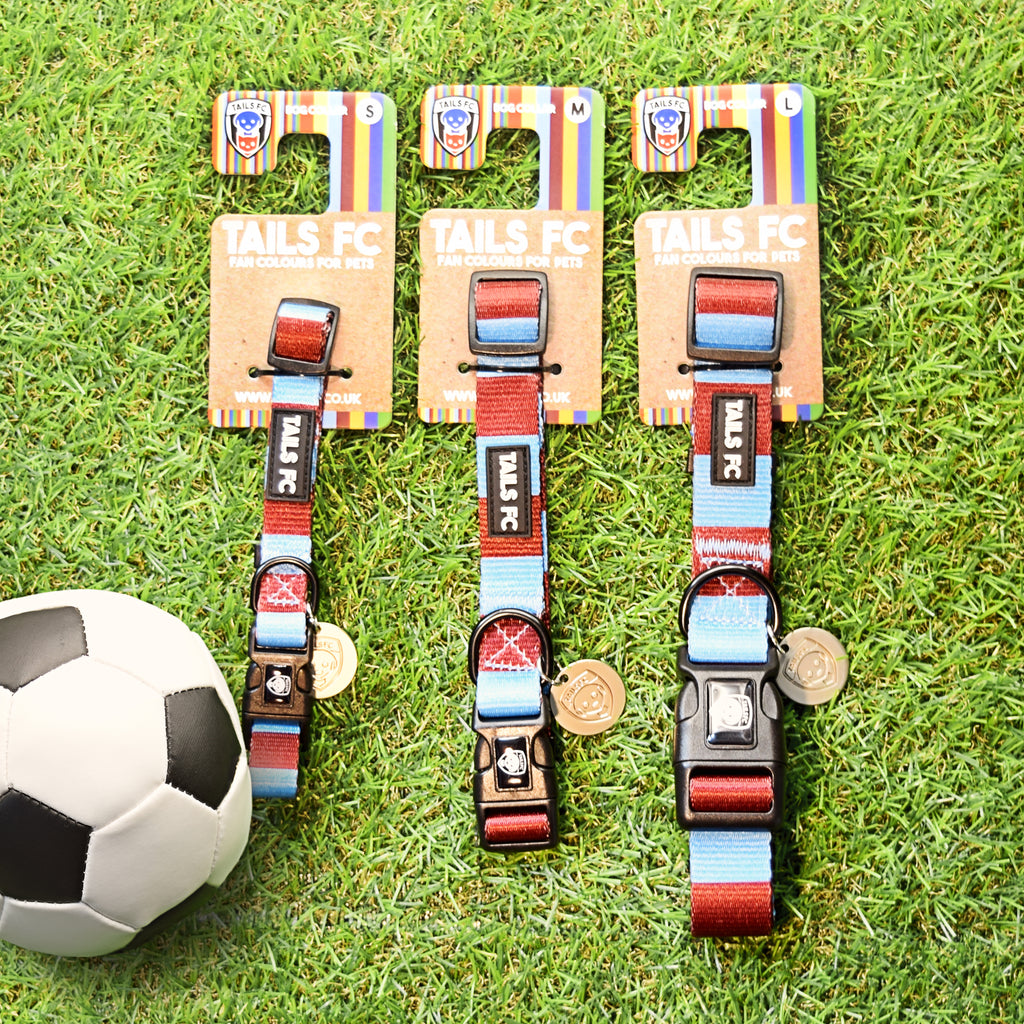 Burnley Dog Collar - claret & blue Stripe Football Pet Collar