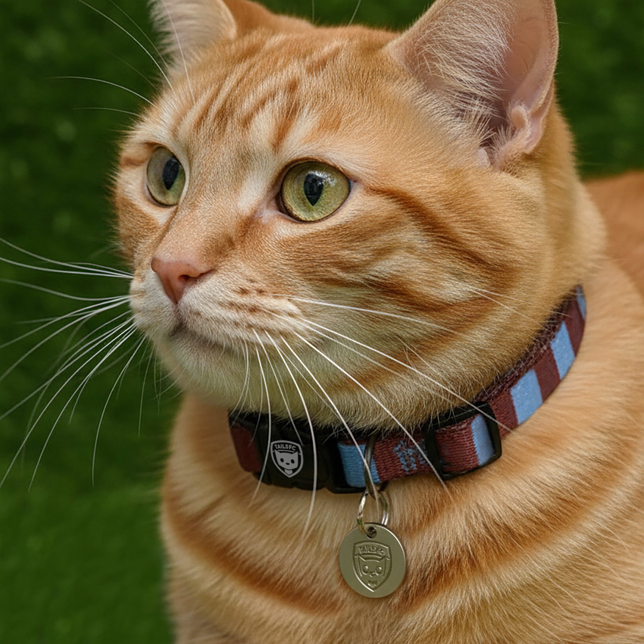 Burnley Cat Collar - claret & blue Stripe Football Pet Collar