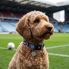 Burnley Dog Set - Claret & Blue Stripe Football Dog Collar and Leash Set