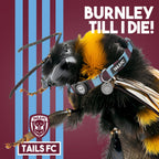 Burnley Dog Set - Claret & Blue Stripe Football Dog Collar and Leash Set