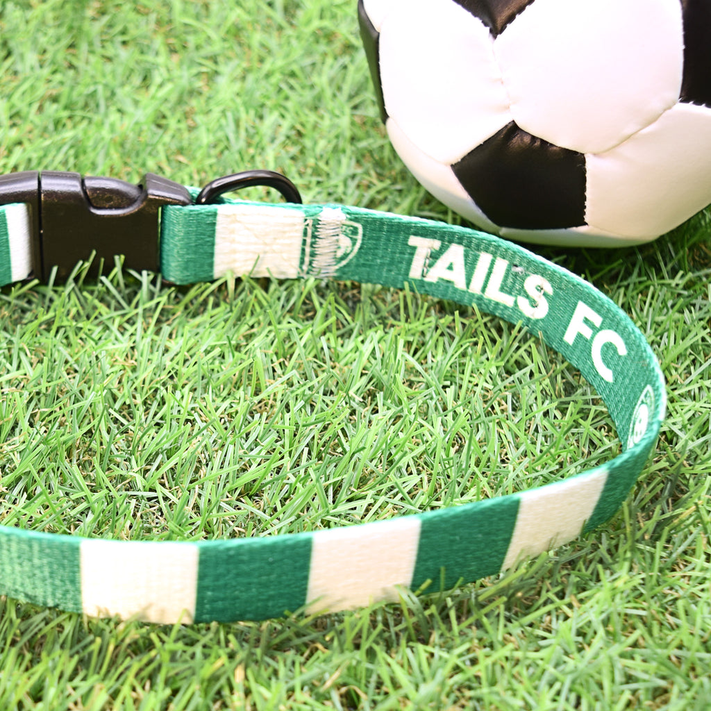 Celtic Dog Collar - Green & White Stripe Football Pet Collar