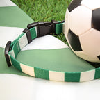 Celtic Dog Collar - Green & White Stripe Football Pet Collar