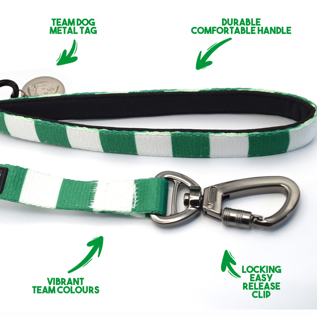 Celtic Pet Lead - Green & White Stripe Football Pet Lead