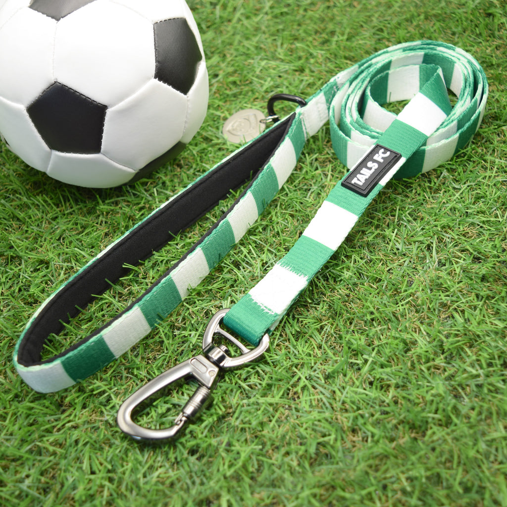 Celtic Pet Lead - Green & White Stripe Football Pet Lead