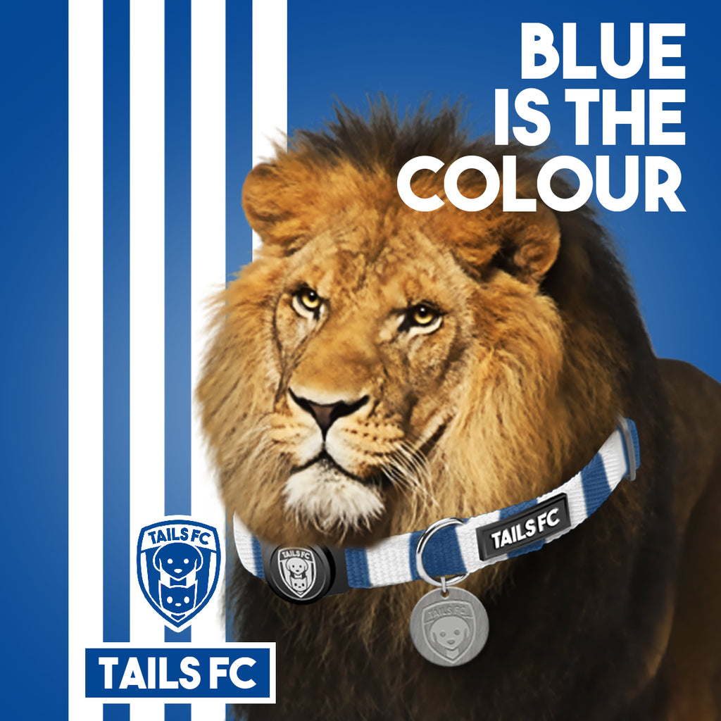 Chelsea Cat Collar - Blue & White Stripe Football Pet Collar