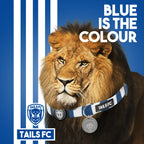 Chelsea Cat Collar - Blue & White Stripe Football Pet Collar