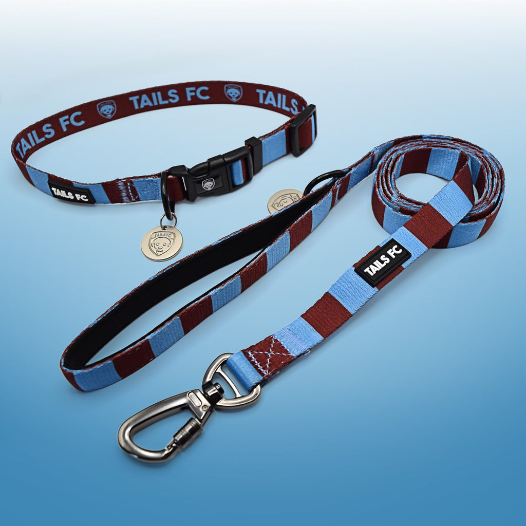 Claret and Blue Dog Set - Claret & Blue Stripe Football Dog Collar and Leash Set