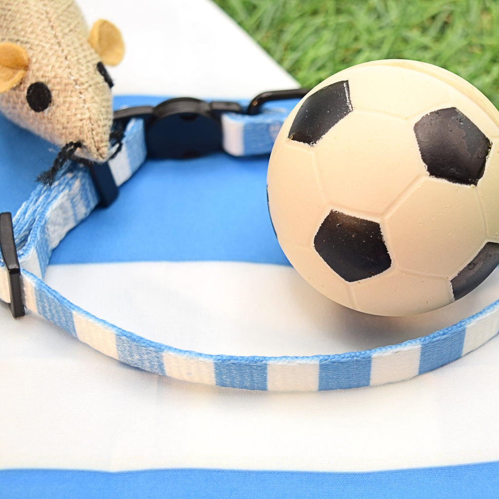 Coventry Cat Collar - Sky Blue & White Stripe Football Pet Collar