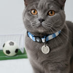 Coventry Cat Collar - Sky Blue & White Stripe Football Pet Collar