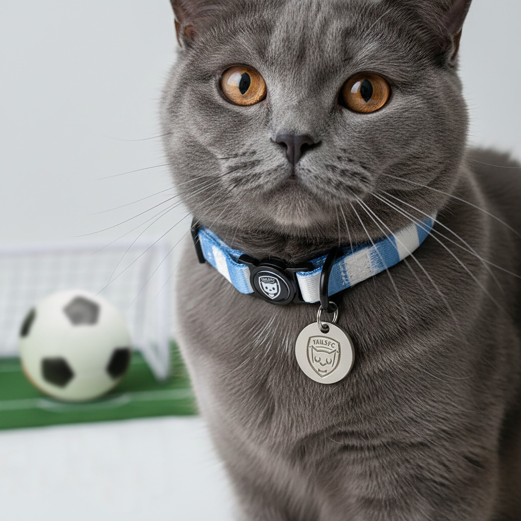 Coventry Cat Collar - Sky Blue & White Stripe Football Pet Collar