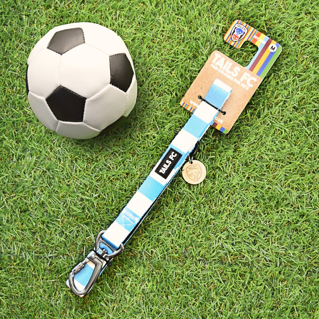 Coventry Pet Lead - Sky Blue & White Stripe Football Pet Lead