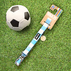 Coventry Pet Lead - Sky Blue & White Stripe Football Pet Lead