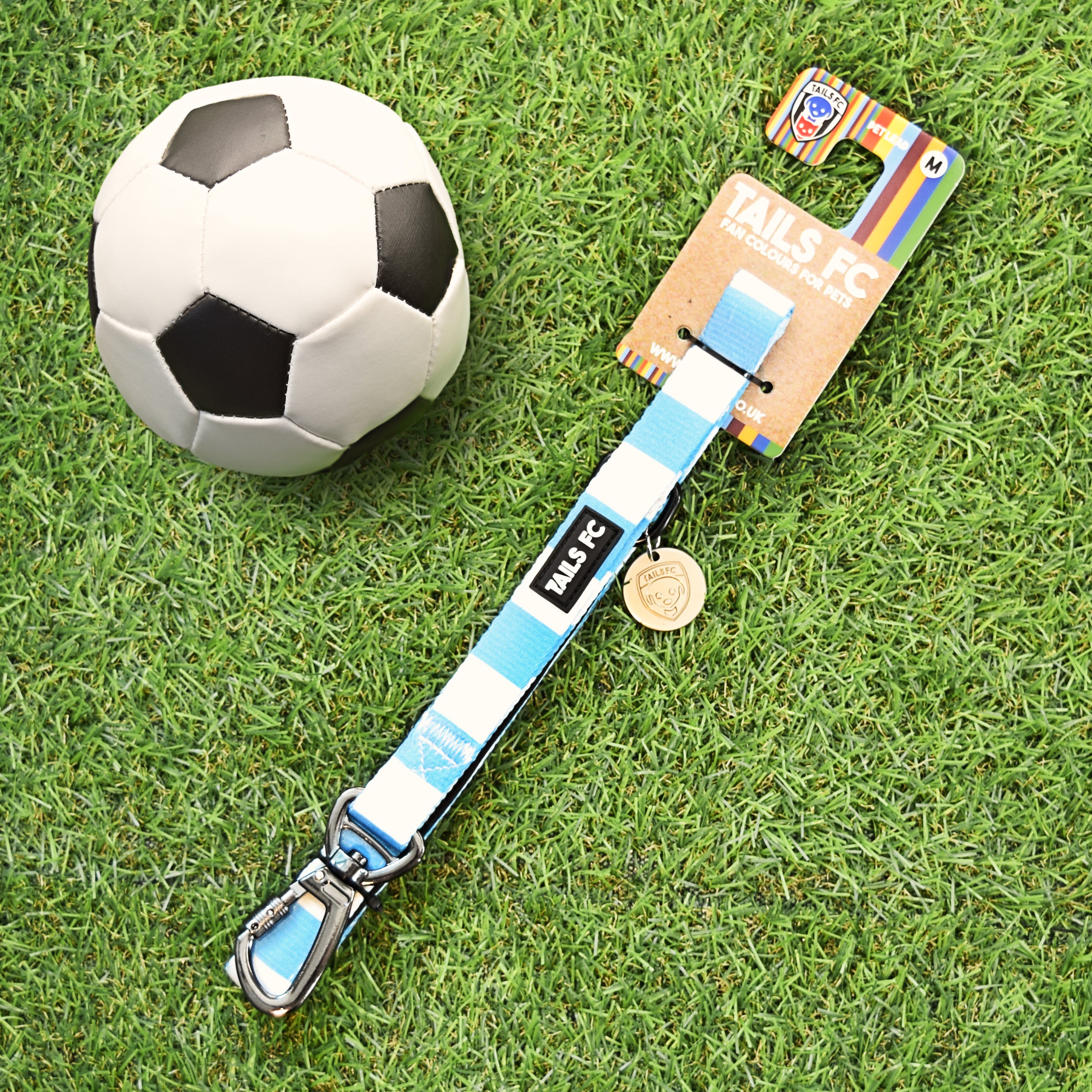 Coventry Pet Lead - Sky Blue & White Stripe Football Pet Lead