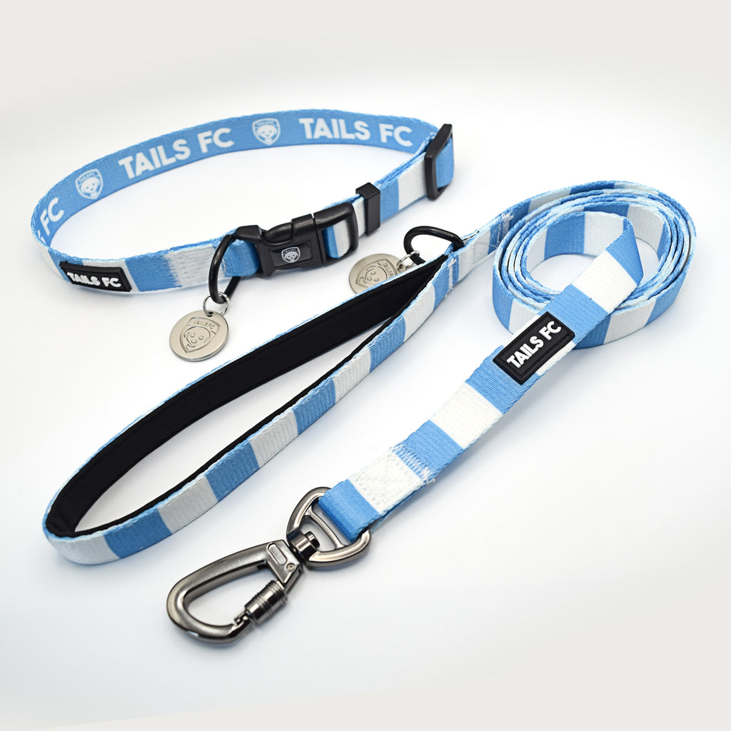 Coventry Pet Lead - Sky Blue & White Stripe Football Pet Lead