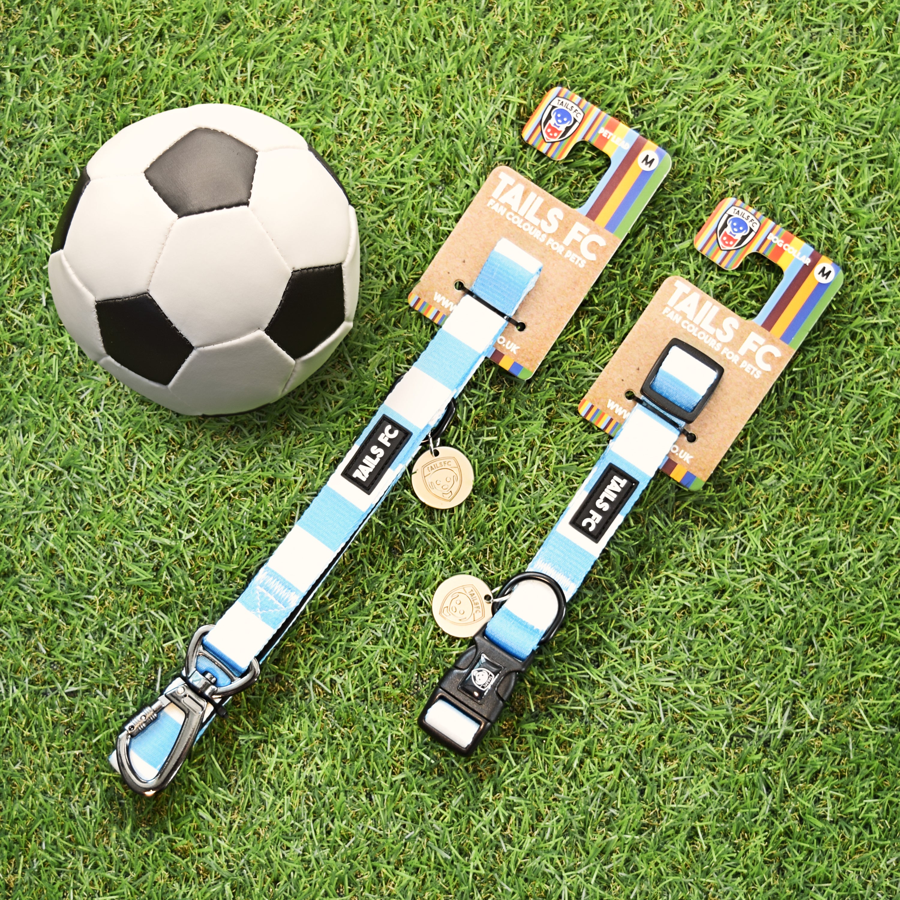 Coventry Dog Set - Sky Blue & White Stripe Football Dog Collar and Leash Set
