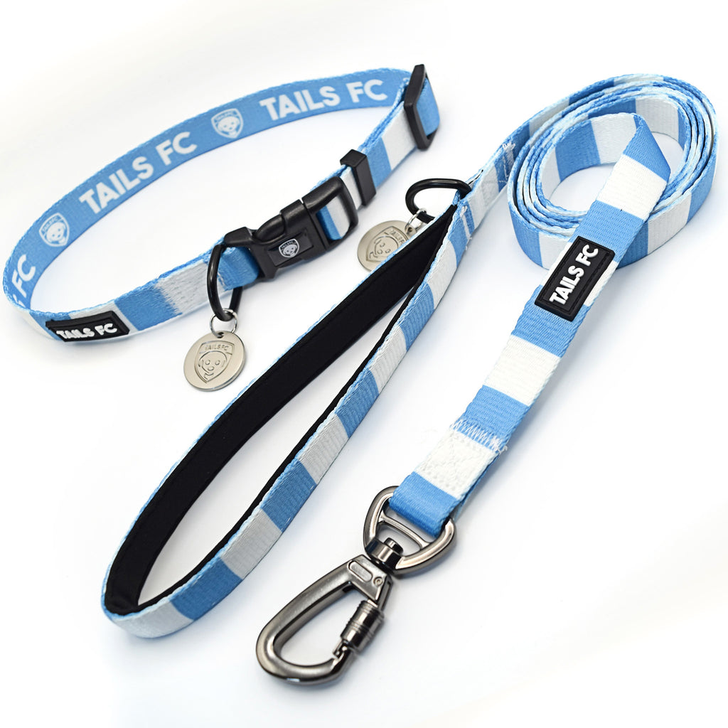 Coventry Dog Set - Sky Blue & White Stripe Football Dog Collar and Leash Set