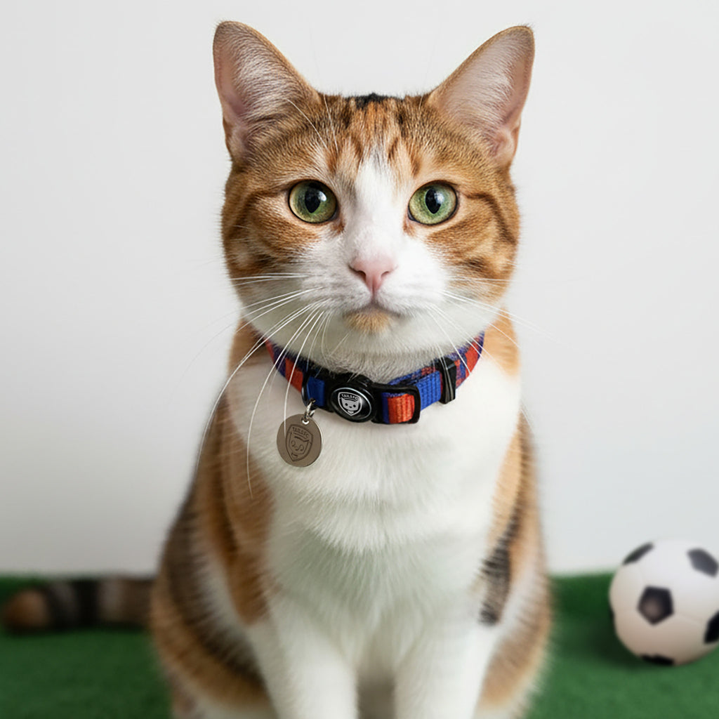 Crystal Palace Cat Collar - Red & Blue Stripe Football Pet Collar