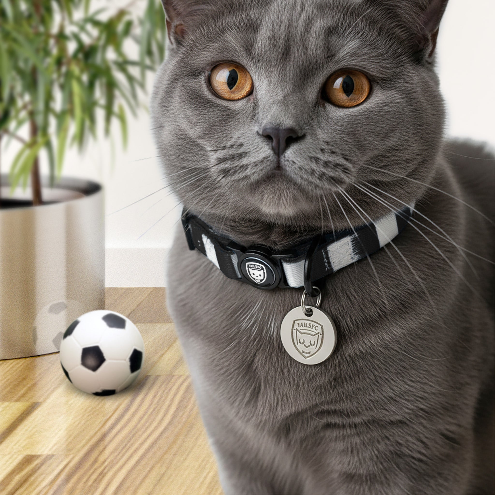 Derby Cat Collar - White & Black Stripe Football Pet Collar