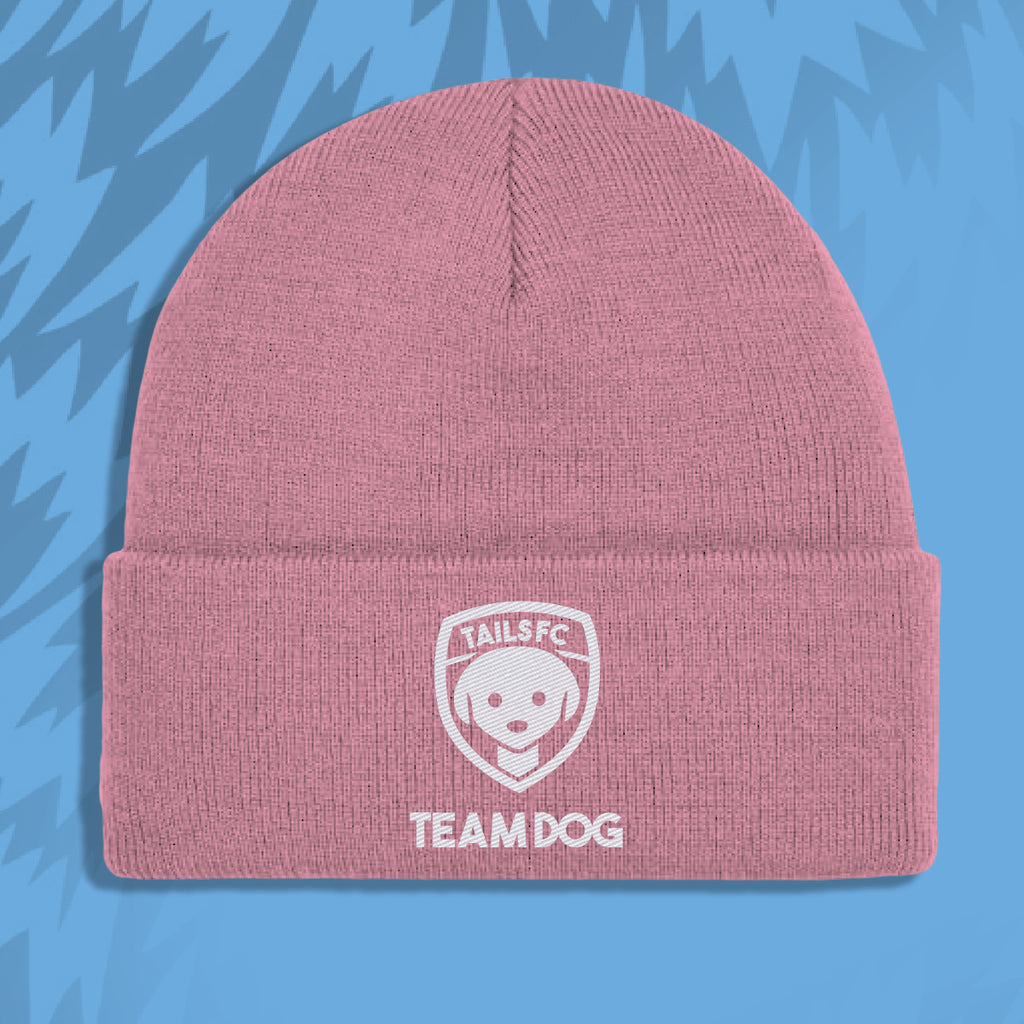 Pink beanie with 'TAILSFC TEAM DOG' logo on a blue background