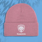 Pink beanie with 'TAILSFC TEAM DOG' logo on a blue background
