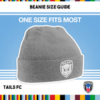 Gray beanie with TAILS FC logo on a blue background