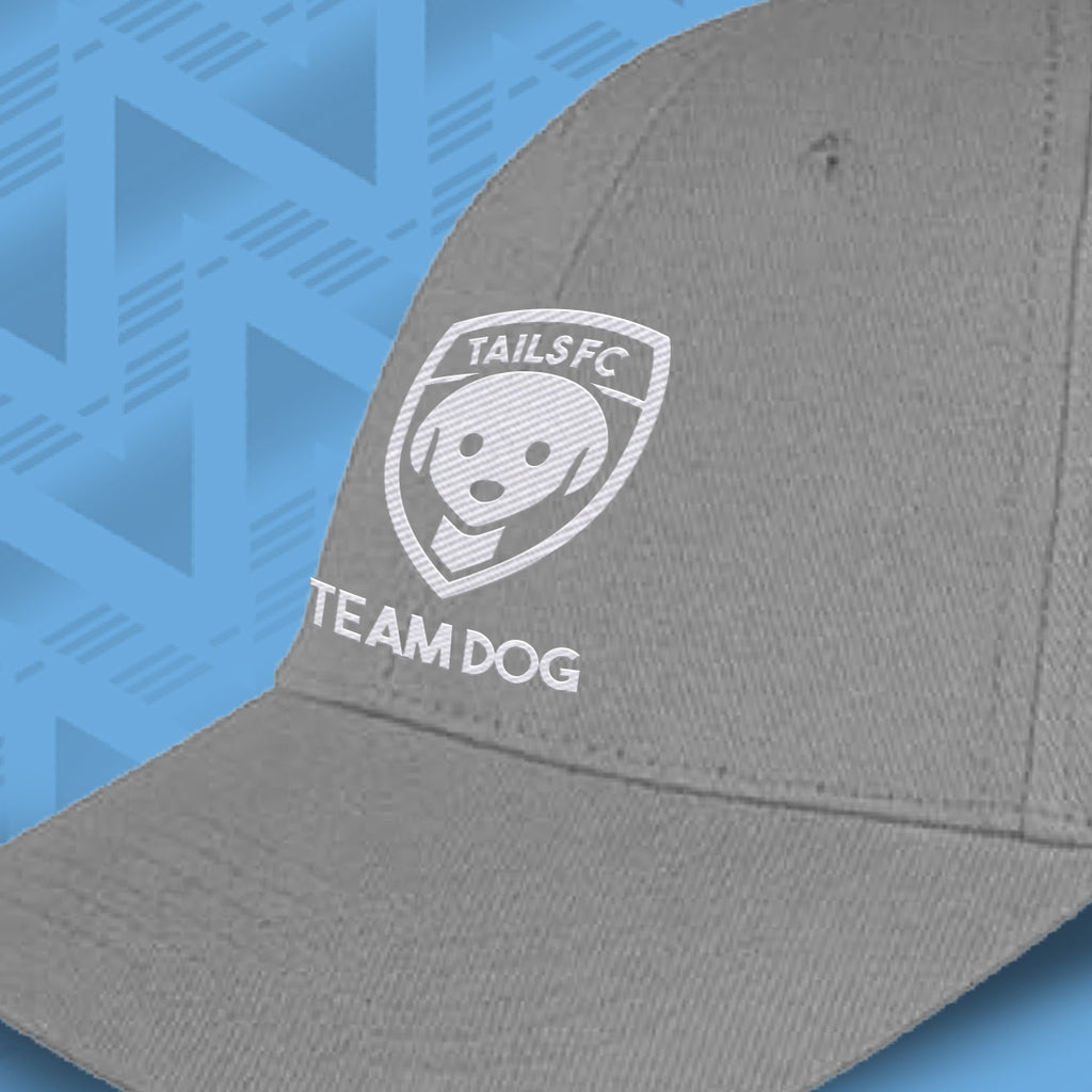 Gray cap with 'TAILS FC TEAM DOG' logo on a blue geometric patterned background