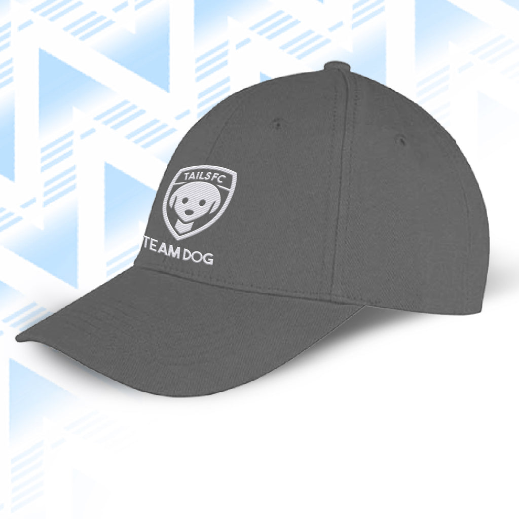 Tails FC Gray cap with 'TEAM DOG' logo on a light blue geometric patterned background