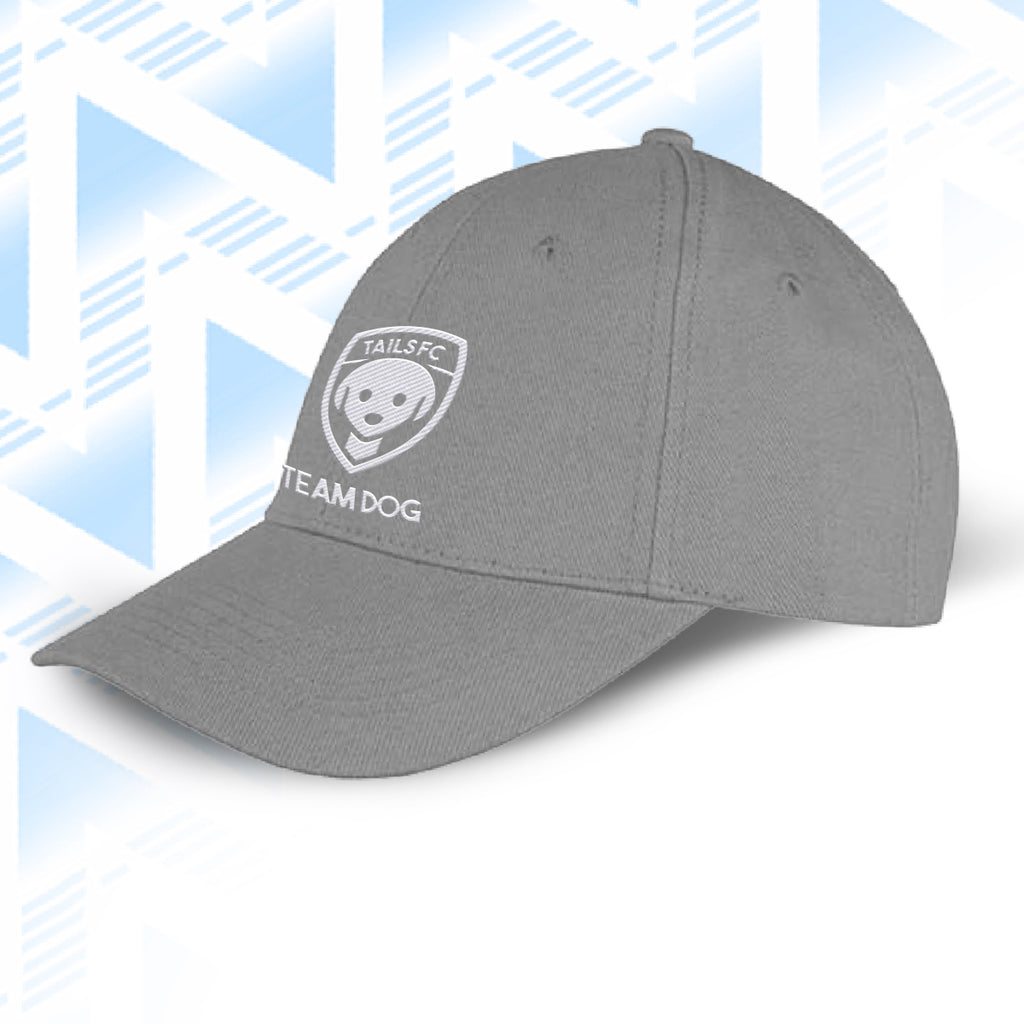 Tails FC Gray cap with 'Team Dog' logo on a light blue geometric patterned background