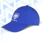 Tails FC Blue cap with 'Team Dog' logo on a light blue geometric patterned background