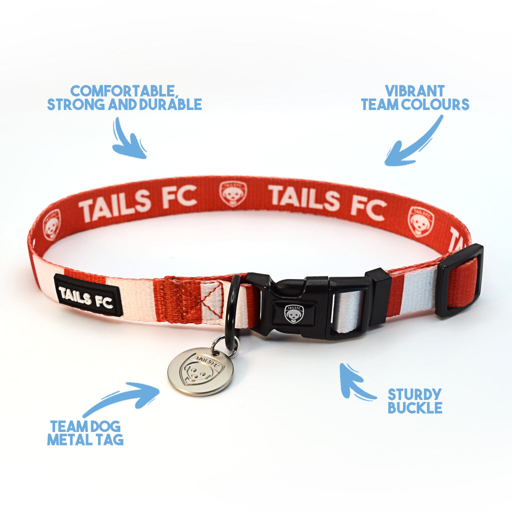 England Dog Collar - White & Red Stripe Football Pet Collar