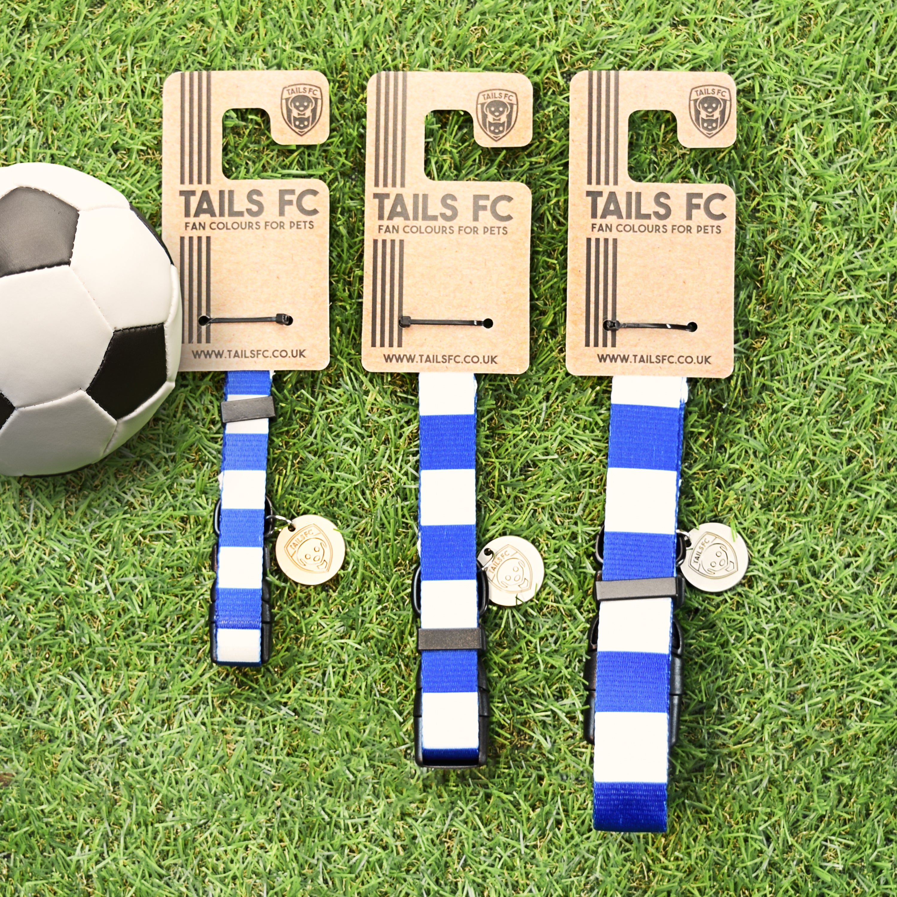 Everton Dog Collar - Blue & White Stripe Football Pet Collar