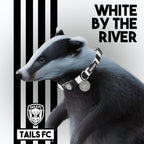 Fulham Dog Set - Black & White Stripe Football Dog Collar and Leash Set