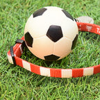 Hearts Dog Collar - Red & White Stripe Football Pet Collar
