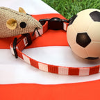 Hearts Cat Collar - Red & White Stripe Football Pet Collar