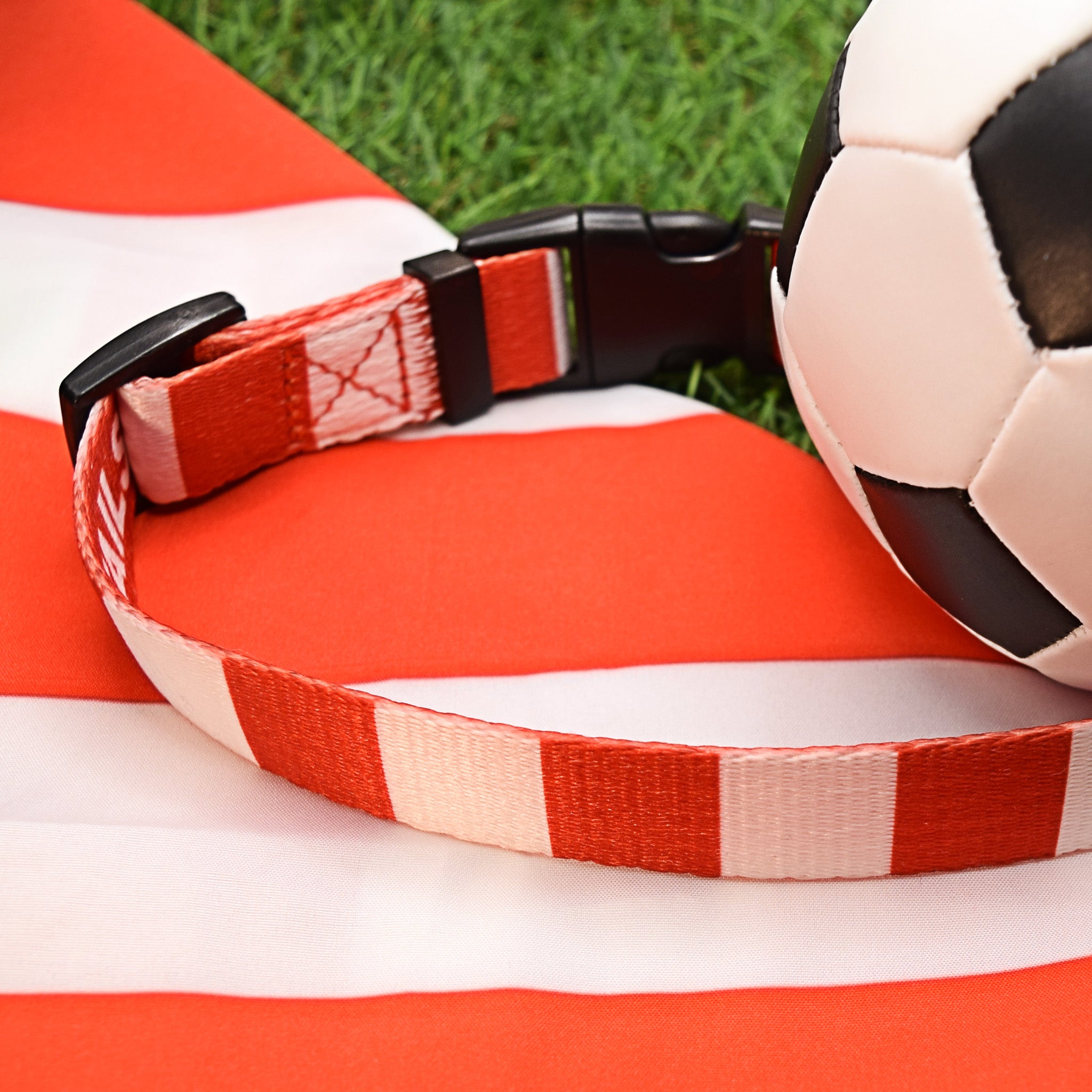 Hearts Dog Set - Red & White Stripe Football Dog Collar and Leash Set