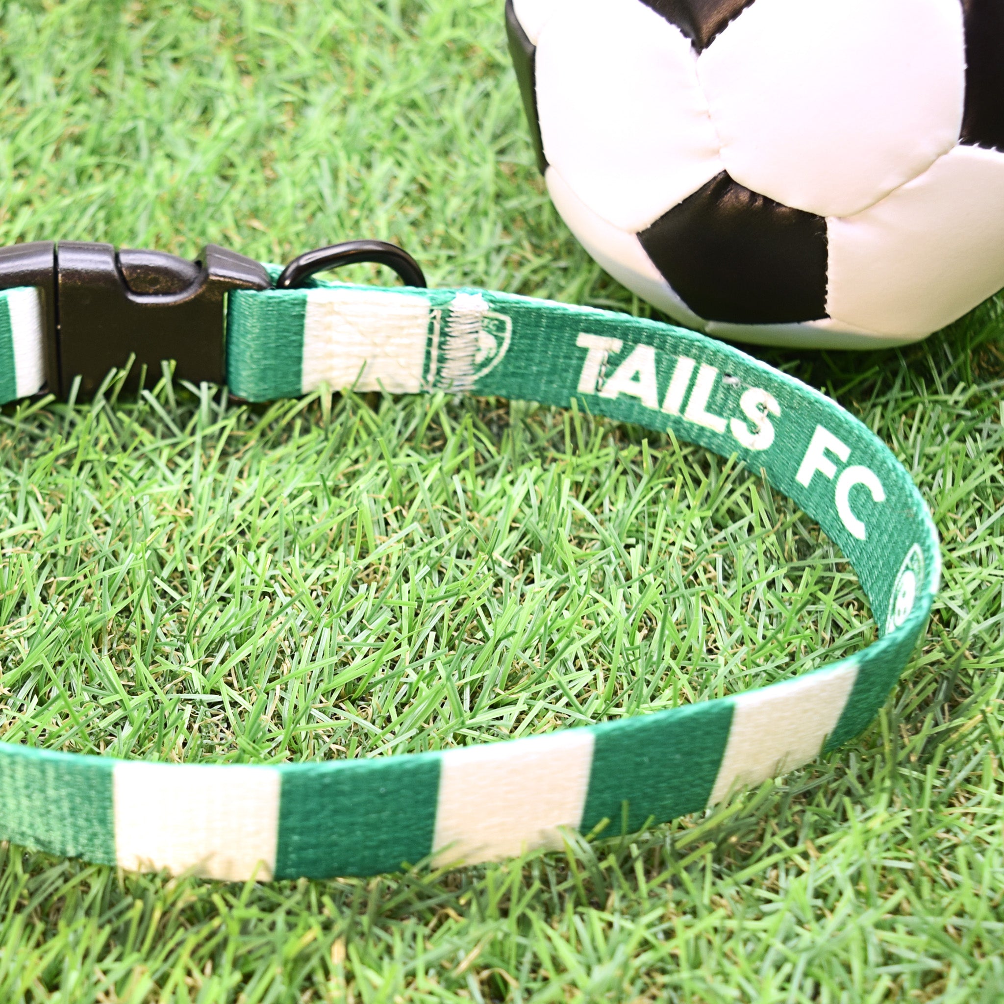Hibernian Dog Collar - Green & White Stripe Football Pet Collar