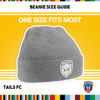 Gray beanie with TAILS FC logo on a yellow background