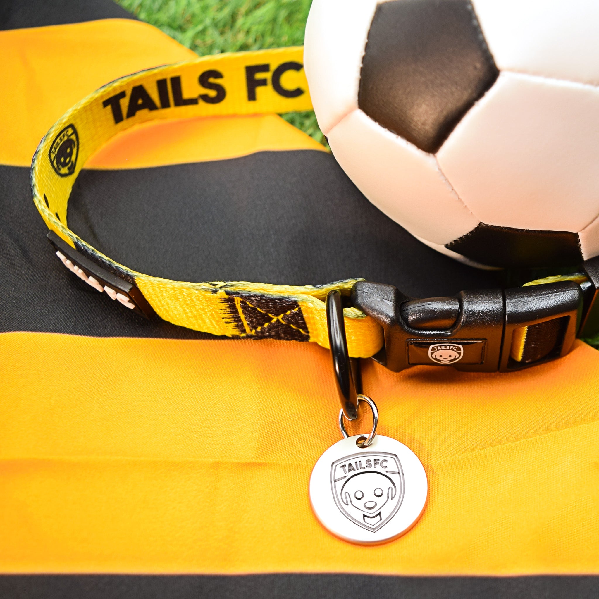 Hull Dog Set - Gold & Black Stripe Football Dog Collar and Leash Set
