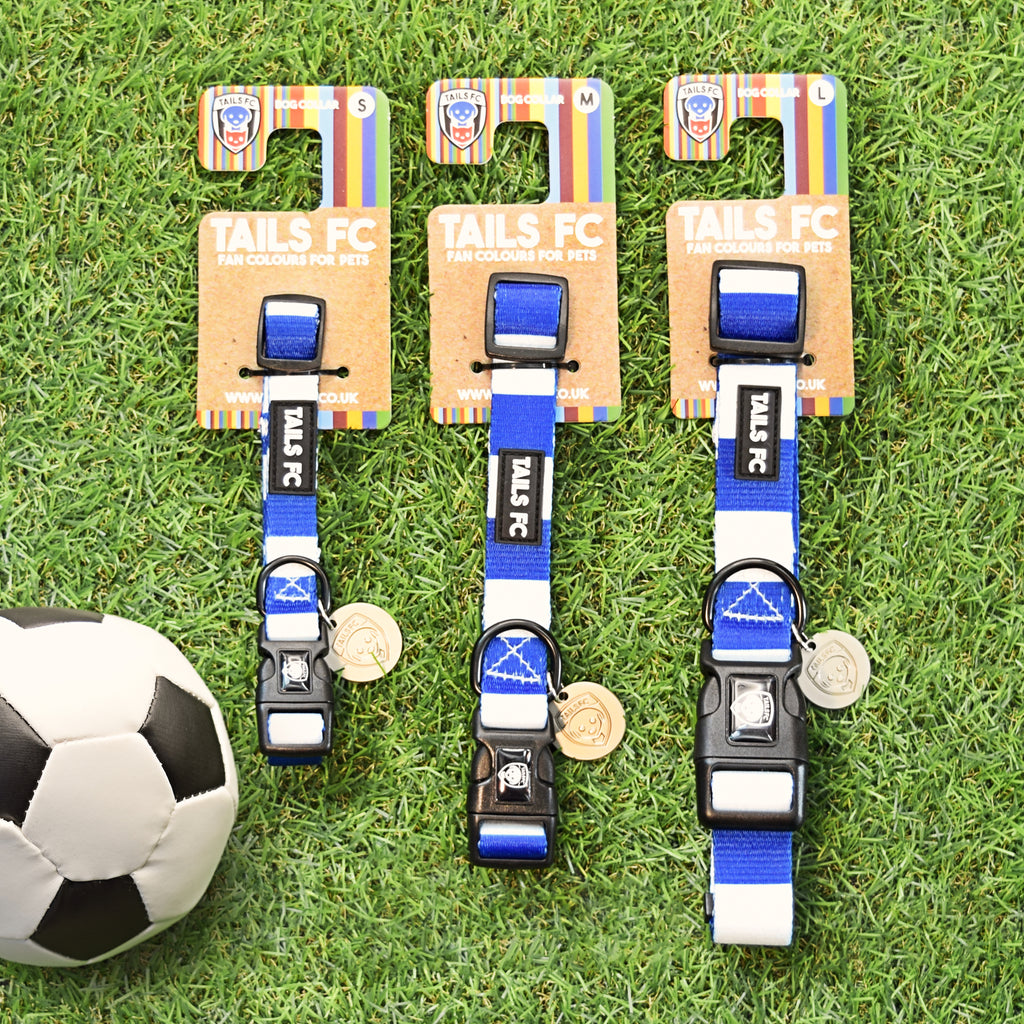 Ipswich Dog Collar - Blue & White Stripe Football Pet Collar