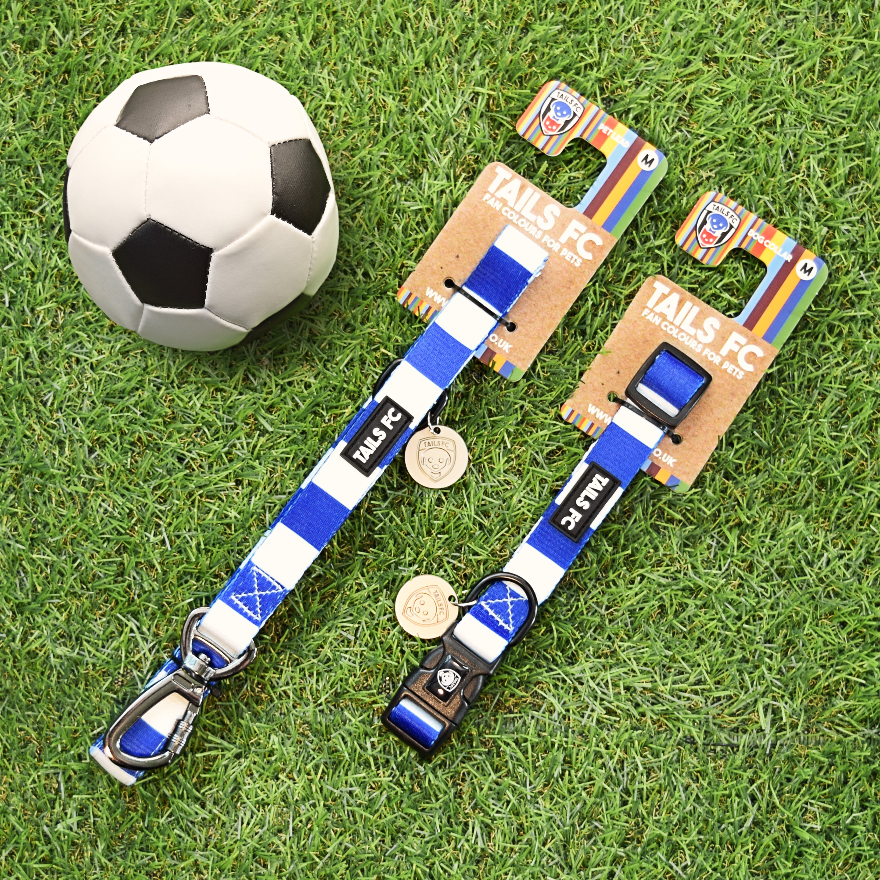 Ipswich Dog Set - Gold & Black Stripe Football Dog Collar and Leash Set