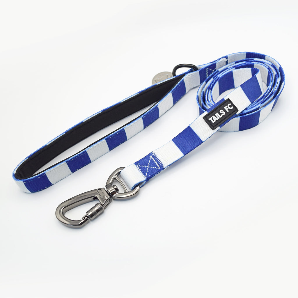 Kilmarnock Pet Lead - Blue & White Stripe Football Pet Lead