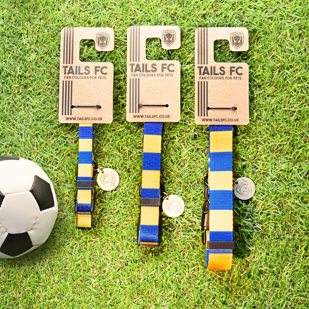Leeds Dog Collar - Blue & Yellow Stripe Football Pet Collar