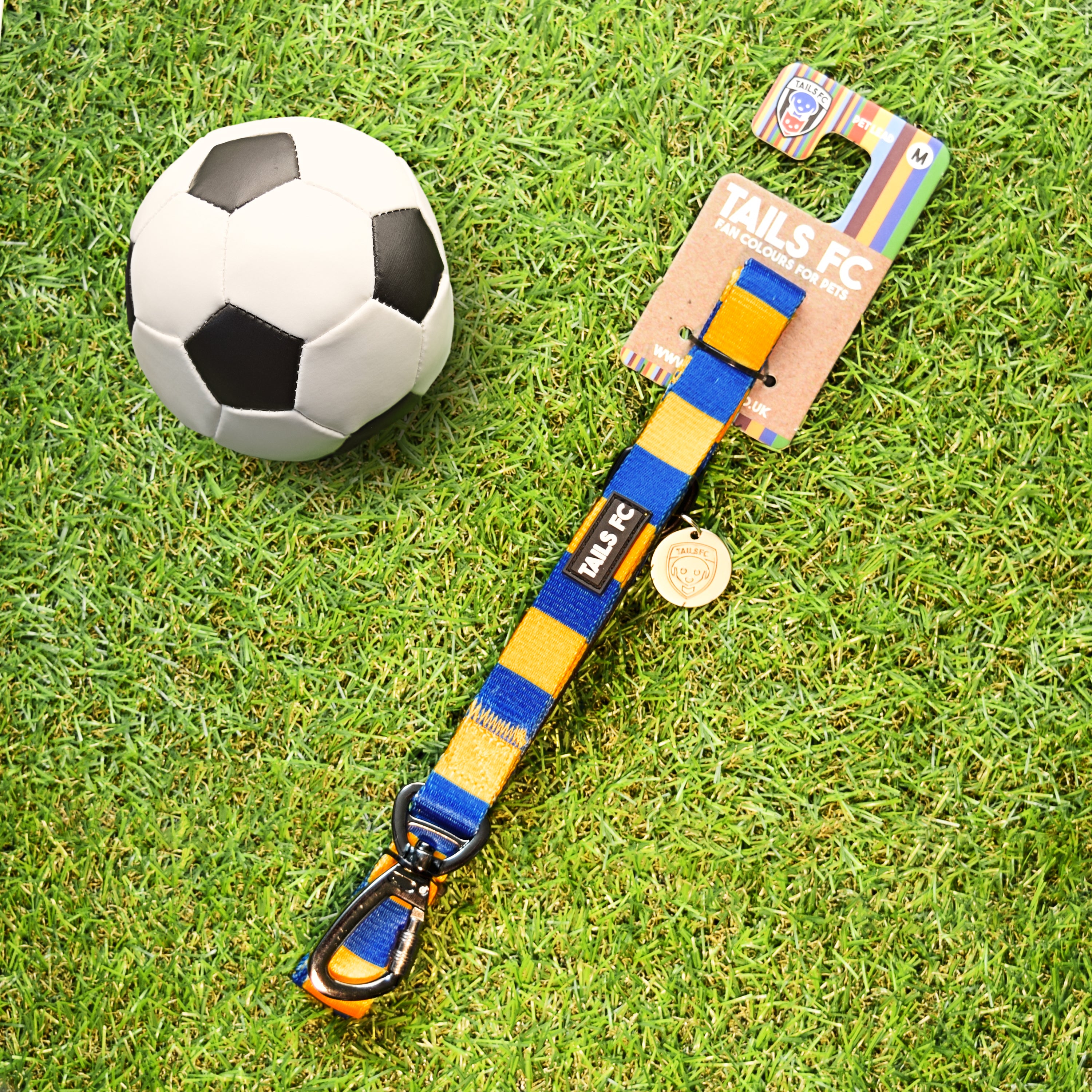 Leeds Pet Lead - Blue & Yellow Stripe Football Pet Lead