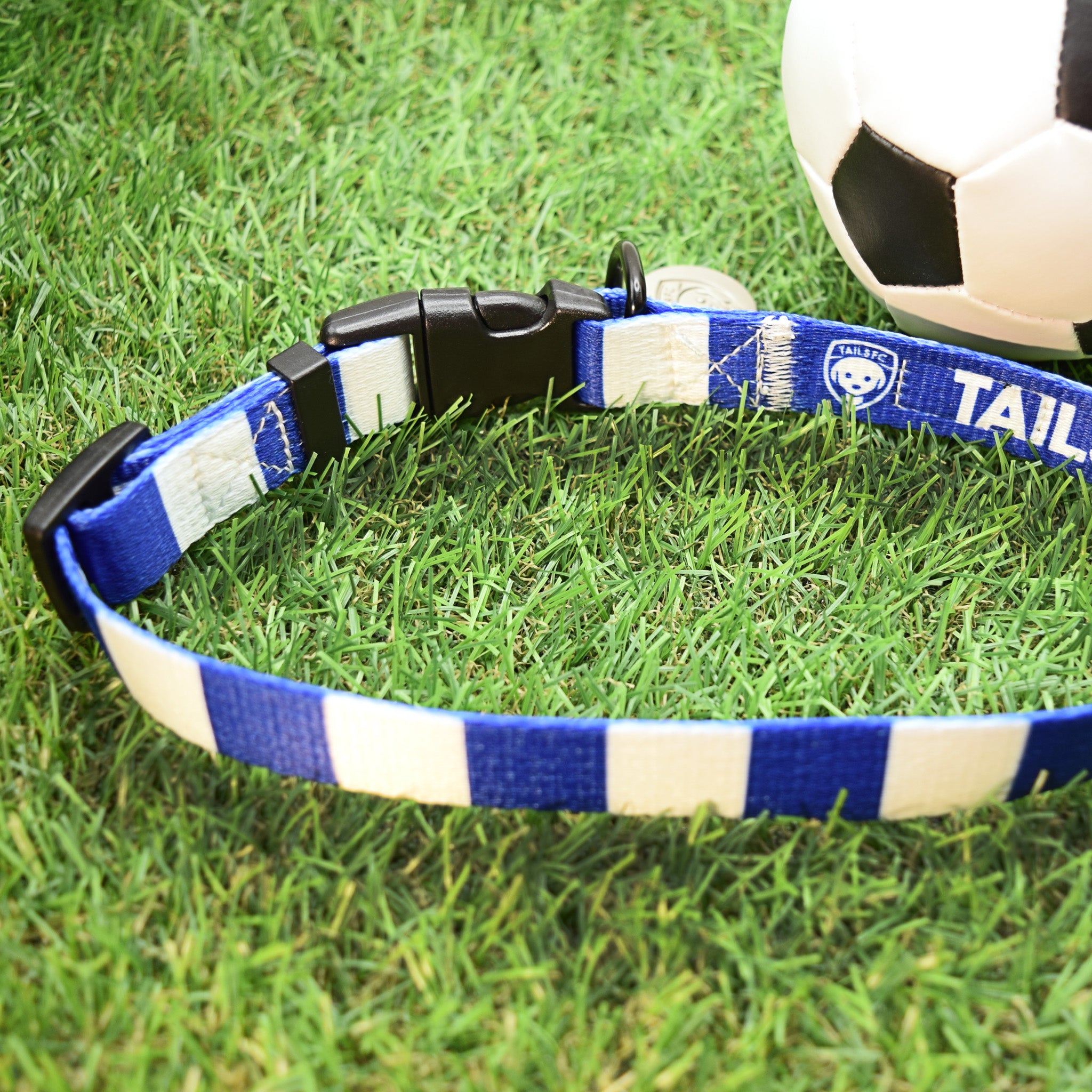 Leicester Dog Collar - Blue & White Stripe Football Pet Collar