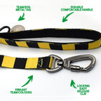 Livingston Dog Set - Gold & Black Stripe Football Dog Collar and Leash Set